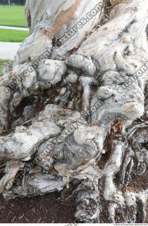 Photo of Mixed Miami Textures